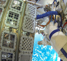 Эксперимент: водоросли выжили после 450 дней, проведенных в открытом космосе