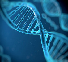 ДНК сможет сохранить всю информацию человечества