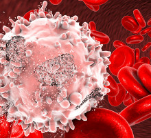 Ученые заставили иммунную систему остановить рост раковых клеток
