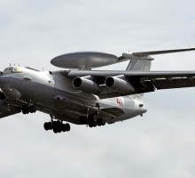 Шойгу решил приобрести пять дельфинов