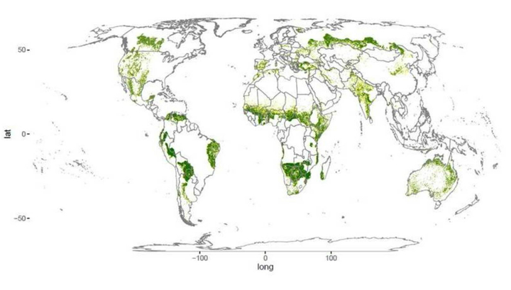 Внезапно: экологи обнаружили почти полмиллиарда гектаров "потерянных" лесов