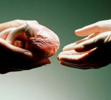Пересадка сердца — пересадка личности?