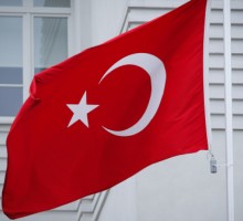 Турции пригрозили экономическими санкциями за арест германских правозащитников