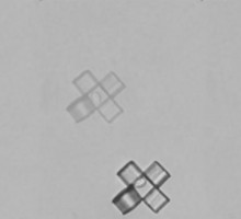 Микроботы-оригами изловили дрожжевую клетку