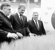 Экскурсии по чайным плантациям Сочи