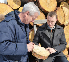 Метод сибирского учёного позволил вывести рынок лесозаготовок из тени