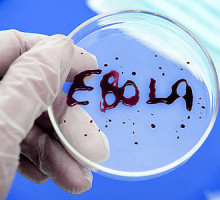 Раскрыта тайна вируса Эбола