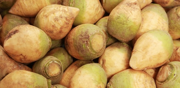 chto-takoe-bryukva-i-s-chem-eyo-edyat-10