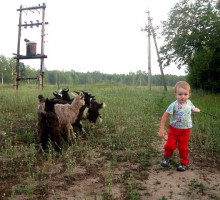 Тьма сгущается перед рассветом