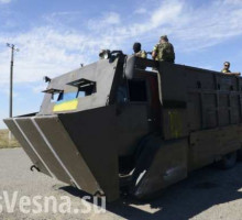 Эстония готовит диверсионный пояс на границе с Россией