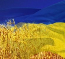 Земельная реформа Украины: всё будет дешево и кроваво