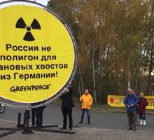 Как изменились дикие пчёлы в течение последних 33 лет