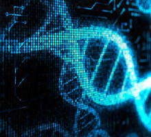 Ученые впервые записали в ДНК мультфильм