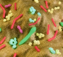 Лекарственную устойчивость бактерий нанесли на карту