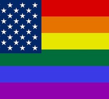 «Лучше б он сжёг флаг США». Американцев ошеломил приговор противнику ЛГБТ