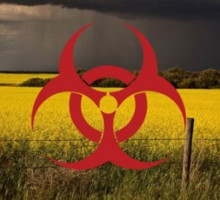 По заданию США: Украина кормит Европу ГМО-отбросами