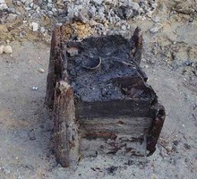 В Чехии нашли деревянный колодец возрастом 7,5 тыс. лет