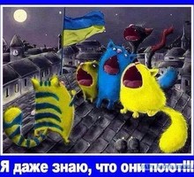 Роскомнадзор собирается заблокировать Википедию