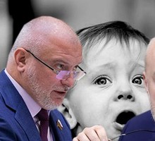 Клишас и Крашенинников предлагают узаконить ювенальные экспресс-суды и изъятие детей полицией