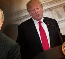 Американскую крысу загнали в угол