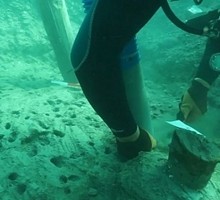 Золото, опиум, шпионаж и бухгалтерские нарукавники