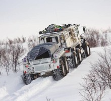 Раковина синей мидии - помощник хирурга