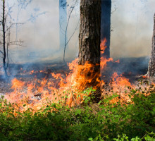 В Прибайкалье продолжает развиваться лесопожарная катастрофа