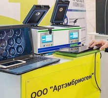 Россия восстанавливает свой статус в электронике