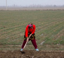 Прогноз на 2021 год и что сделано