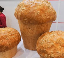 Они побежали