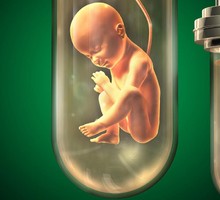 Покоритель высочайших гор