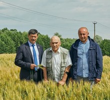 Ультразвук помогает лекарствам дойти до цели