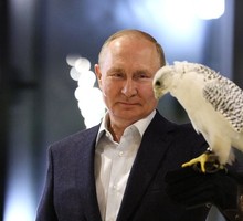 Россия голосует за стабильность