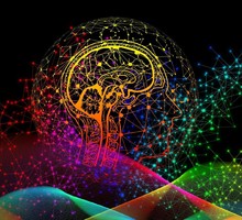 Открытие новой сети в моторной коре головного мозга