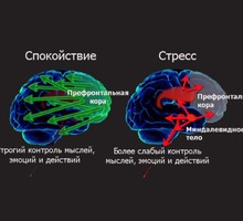 Некоторые разработчики никогда не пройдут собеседование