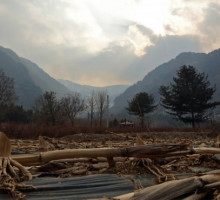 В Южной Корее ради Олимпийских Игр вырубили исторический лес