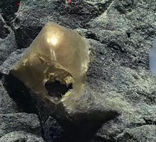 Во время подводной экспедиции обнаружено загадочное "золотое яйцо"