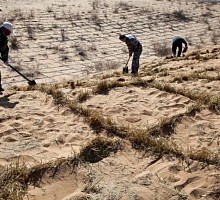 В Йеллоустоуне закрыли доступ к данным о сейсмической активности