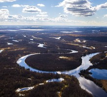 Участки тундры превращаются в плодородные почвы