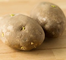 Вреден ли зелёный картофель?