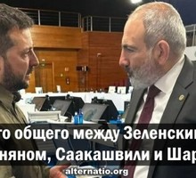 Что общего между Зеленским, Пашиняном, Саакашвили и Шариём?