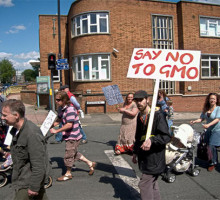 Биологи научились не оставлять «улик» при создании ГМО