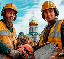 Чиновники готовят русский бунт?