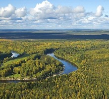 Создана Чёрная книга флоры Сибири