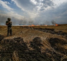 Лет пятьдесят — и ни годом меньше