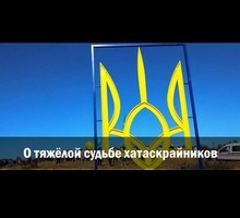 Такие разные, но такие похожие