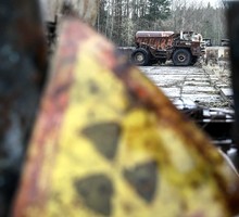 Чернобыльская зона продолжает удивлять