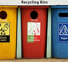 Обращение с мусором как вектор устойчивого развития