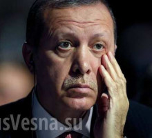 Вместо подведения итогов... Дмитрий Перетолчин