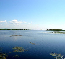На Дальнем Востоке появилось охраняемое водно-болотное угодье